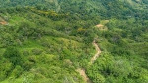 Lush green jungle landscape in Dominical, Costa Rica with winding trail.