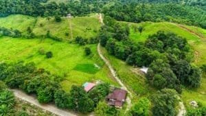 Large jungle plot with building platforms and mountain views in Dominical.