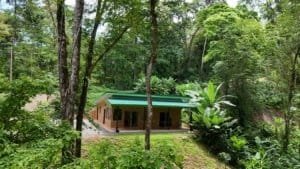 Secluded jungle home with lush greenery and tropical trees in Dominical.