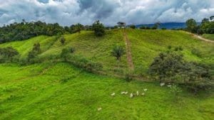 Lush green jungle hillside with building platforms and mountain views in Dominical.