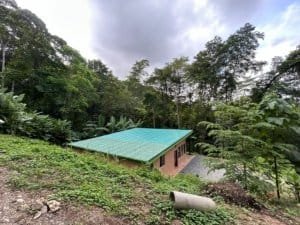 Secluded jungle home with green roof in Costa Rica's rainforest.