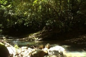 Scenic river with rocks and lush forest in Dominical, Costa Rica.