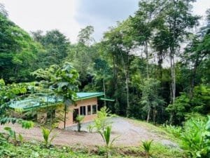 Secluded jungle home with lush greenery and modern design in Costa Rica.