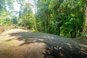 Forest view from gated property in Dominical, Costa Rica.