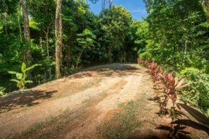 Private gated entrance with lush tropical trees in Dominical, Costa Rica.