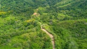 Lush green jungle with a winding dirt road in Dominical, Costa Rica.