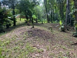 Private jungle lot with trees and cleared area near Dominical, Costa Rica.