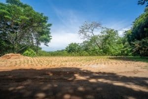 Open land with young plants and trees under a blue sky in Dominical.