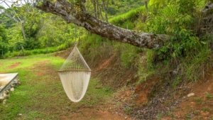 Hanging hammock under a tree in a lush green landscape in Dominical.
