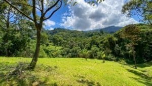 Large lush jungle plot with mountain views and mature trees in Dominical, Costa Rica.