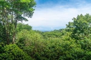 Scenic ocean view from a lush green property in Dominical, Costa Rica.