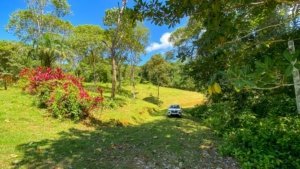 Quiet jungle plot with mountain views, lush greenery, and a parked vehicle.