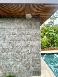 Contemporary outdoor shower area with pool and lush garden in Dominical.