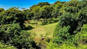 Large lush jungle plot with mountain views and building platforms in Dominical.