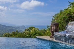 Luxury infinity pool overlooking lush greenery and ocean in Dominical.