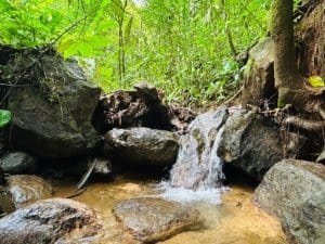 Lush jungle creek with rocks and small waterfall in Costa Rica.