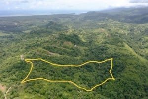 Aerial view of a lush green wildlife reserve farm with river and hills in Dominical.