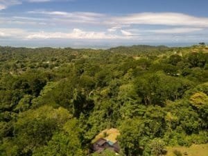 Expansive jungle landscape with distant ocean view in Costa Rica.