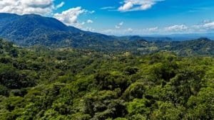 Lush green jungle with mountains and blue sky in Dominical, Costa Rica.