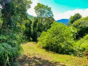 Quiet, private jungle plot with mountain views and building platforms in Dominical.