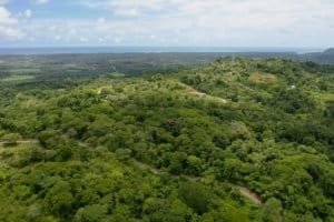 Lush green forested landscape with hills and distant ocean view in Dominical, Costa Rica.