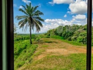 Beautiful view of lush jungle, mountain, and blue sky from property in Dominical.