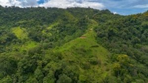 Lush green hills and forested landscape in Dominical, Costa Rica.