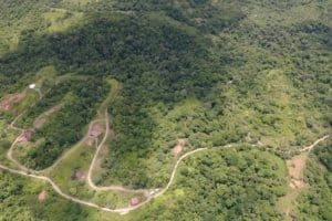 Aerial view of lush green wildlife reserve with winding roads and small structures.
