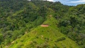 Lush green hillside in Dominical, Costa Rica, with dense tropical forest.