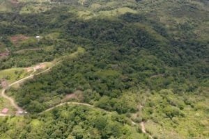Lush green forest with river and trails in Dominical, Costa Rica.