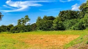 Serene jungle plot with mountain views and building platforms in Dominical.