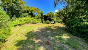 Quiet jungle plot with mountain views and building platforms in Dominical.