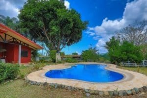 Beautiful backyard with pool, large tree, and lush greenery in Dominical.