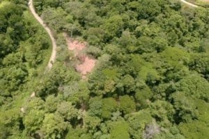 Aerial view of lush forest with river and swimming holes in Costa Rica.