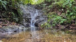 Scenic waterfall in lush Costa Rican jungle near Dominical.