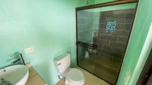 Bathroom with green walls, white toilet, and glass shower enclosure with tile accents.