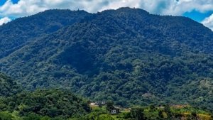 Lush green jungle mountain with blue sky and clouds in Dominical, Costa Rica.