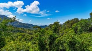 Lush green jungle landscape with mountains and blue sky in Dominical, Costa Rica.