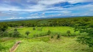 Large lush jungle plot with building platforms and mountain scenery in Dominical.