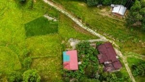 A lush jungle plot with two building platforms and mountain views in Dominical.