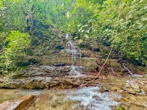 Small waterfall flowing over rocks in lush jungle setting with mountain views.