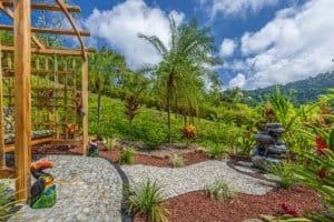 Lush garden with palm trees and ocean view in Dominical, Costa Rica.
