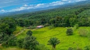Large lush jungle plot with building platforms and mountain views in Dominical.