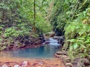 Lush jungle stream with clear water and surrounding tropical plants in Dominical.