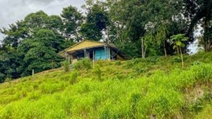 Private jungle house with mountain views and lush greenery in Dominical.