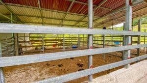 Covered riding arena with metal roof and wooden fencing in Dominical jungle.