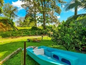 Large lush jungle plot with building platforms, internal drives, and mountain views.