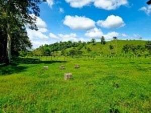 Serene jungle plot with building platforms and mountain views in Dominical, Costa Rica.