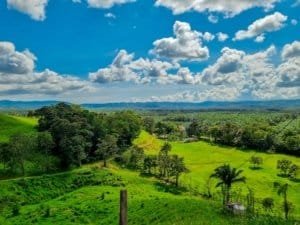 Lush green jungle with mountain views and blue sky in Dominical, Costa Rica.