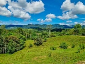 Lush green jungle with mountain views and blue sky in Dominical, Costa Rica.